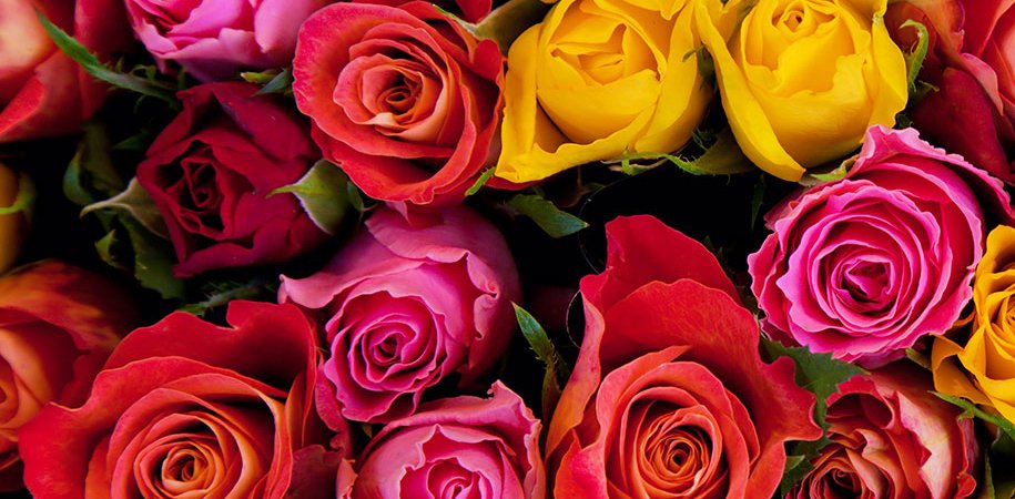 Flowers & Gifts Delivery Amman Jordan