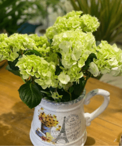 Flowers & Gifts Delivery Amman Jordan
